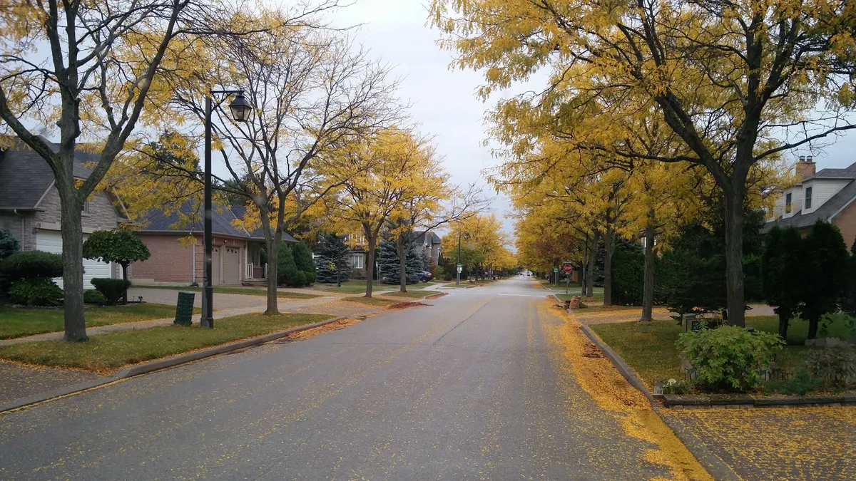 Tree-lined residential street in autumn with houses set back on lawns